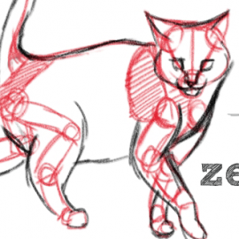 Katzen zeichnen – Basics