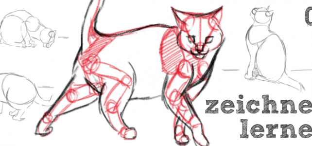 Katzen zeichnen – Basics