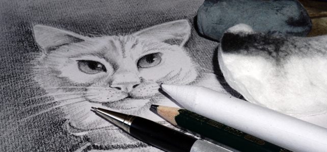 Mit Bleistift zeichnen