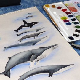 Aquarellprojekt: Wale in Island