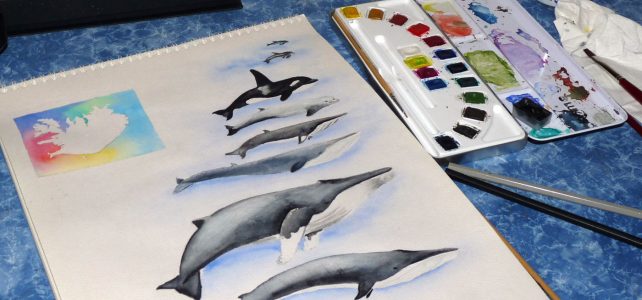 Aquarellprojekt: Wale in Island