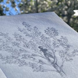 Ein Schatten im Baum zwischen flirrenden Lichtern