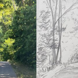 Der Weg durch den Wald (P52, Wald)
