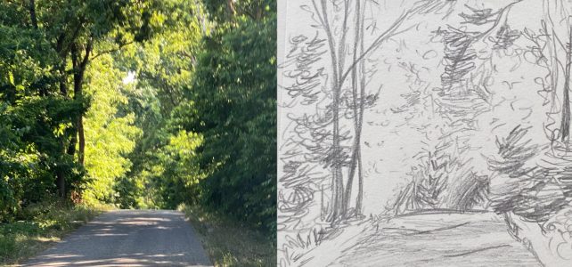 Der Weg durch den Wald (P52, Wald)