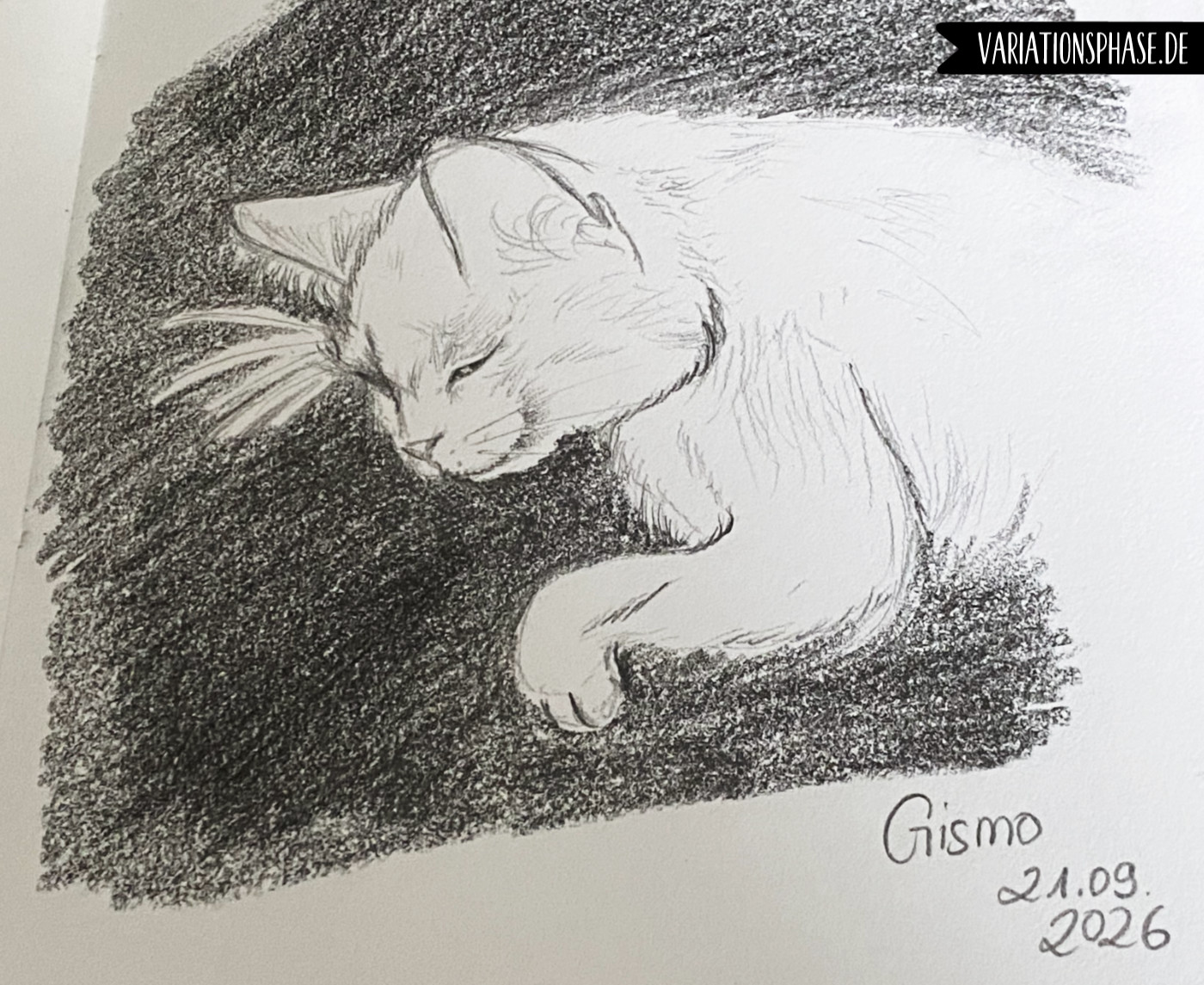 Nachruf Gismo